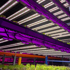 Nâng cấp 40W/60W trong nhà nuôi dẫn phát triển ánh sáng đồ đạc mỏng Daisy có thể xâu chuỗi ETL chứng nhận IP65 cao CRI 88 5 năm nở - Product Image 6