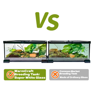 Terrarium pour reptiles entièrement transparent en verre ultra-blanc, design empilable, réservoir écologique d'élevage et d'ornement pour geckos et tortues - Product Image 4