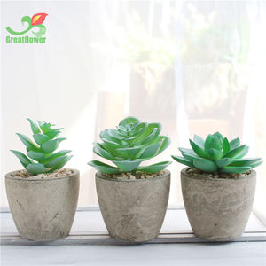 Fábrica de alta calidad pulpa en maceta <span class=keywords><strong>plantas</strong></span> suculentas <span class=keywords><strong>artificiales</strong></span> Mini planta suculenta decorativa para la decoración de la Mesa de la oficina en casa - Product Image 3