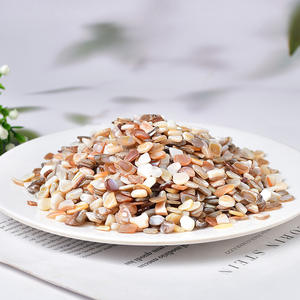 Revêtement de sol en terrazzo en pierre naturelle, écologique, non toxique, copeaux de coquillages concassés, <span class=keywords><strong>gravier</strong></span> de qualité supérieure, pierre concassée pour jardin, parc - Product Image 5