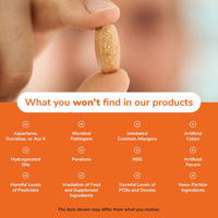 Comprimés de Vitamine C à Libération Prolongée avec Cynorrhodon, Marque Privée OEM, Soutien Antioxydant, Complément Alimentaire Végétarien