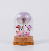 Fleur éternelle de pissenlit préservée sous cloche en verre pour décoration de table à la maison, cadeau romantique pour la Saint-Valentin et Noël, longue durée