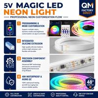 Bande LED flexible néon colorée 5V612 de 8 mm en cuivre avec IC RGB et lumières dynamiques, télécommande, kit LED IP66