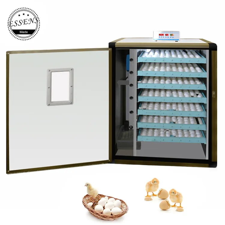 Incubadora de huevos de codorniz, máquina Industrial de huevos de pollo, el mejor diseño, 560