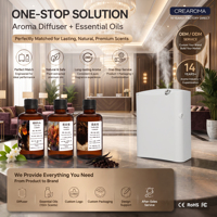 Diffuseur d'huiles essentielles à brume froide OEM ODM avec télécommande, diffuseur d'arômes électrique, diffuseur d'air parfumé pour chambre, bureau, spa, nano brume froide