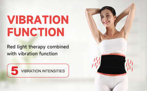 Thérapie par lumière rouge avec masseur vibrant et télécommande avec minuterie, utilisée pour soulager les douleurs du bas du dos et abdominales - Product Image 2