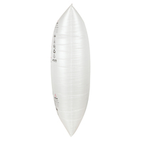 ZQ 2025 Gap Fill protection Expédition Gonfleur Conteneurs air En Bois Fardage Sac Boîte