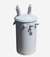 Transformador de Distribución Toroidal Sumergido en Aceite de Baja Pérdida de 25 kVA y 13.8 kV para Montaje en Poste, Suministro del Fabricante