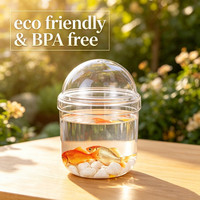Articles de décoration de Rome : Terrarium en verre transparent pour mousse, vase en verre soufflé à la main pour plantes hydroponiques avec couvercles en dôme et trou