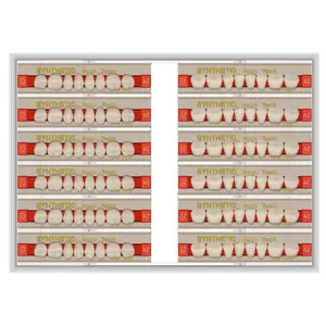 Fabriek Dental Resin Tanden-2 Layer Resin Tanden Voor Prothese Polymeer