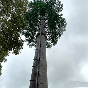 Torre Monopolo de Telecomunicaciones Galvanizada Q355B de 20-40M para Zonas Húmedas, con Disfraz Integrado, para Reservas Naturales y Límites de Lagos, Torre de Comunicación Oculta - Product Image 4