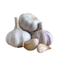 Prix CIF 2026 pour l'ail blanc de Valparaíso au Chili, ail blanc pur frais chinois 4p