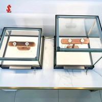 Vitrine de luxe en verre trempé avec cadre en métal noir, éclairage LED et serrures de sécurité pour bijoux et montres