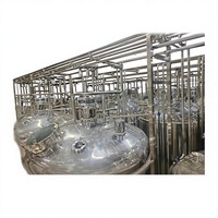 Ligne de production de machines de remplissage, de bouchage et d'étiquetage pour boissons liquides de kvass fermenté à base de jus de céréales naturelles