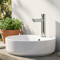 Robinet d'arrêt automatique à temporisation pour économie d'eau, argenté, pour toilettes publiques extérieures, eau froide uniquement