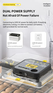 NUEVA Incubadora Automática de Huevos WONEGG con Control de Humedad para 48 Huevos, Mini Incubadora para 50 Huevos - Product Image 4