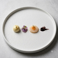 Service de table moderne de luxe en porcelaine émaillée blanc mat à motif uni pour mariage, restaurant, dessert, steak, pizza et cadeaux promotionnels