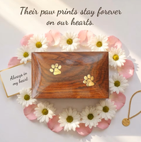 Urnes funéraires rectangulaires écologiques et durables faites à la main pour animaux de compagnie (chiens, chats) avec empreinte de patte – Vente en gros
