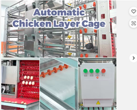 Solution complète de conception et d'installation de cages à poules pondeuses de type H pour usage commercial