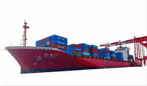 Лучшая цена экспресс-экспедирование от двери до двери из Гуанчжоу в Австралию, Китай, Вьетнам, Индонезия, воздушное морское судоходство - Product Image 4