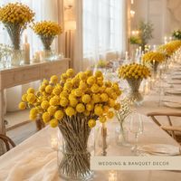 Bouquet de fleurs séchées véritables Eternal Gold Ball, décoration créative DIY pour la maison, cadeau de Pâques, fabrication en gros, fruits Golden Hammer