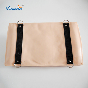 Modelos Avanzados de Examen de Mama para Ciencias Médicas - <span class=keywords><strong>Material</strong></span> de PVC para Educación Médica - Product Image 3