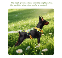 Arnés para Perro Personalizado OEM, Suave, Grueso, de Neopreno, Cómodo, con Estampado Boho, Sin Tirones, para Perros Pequeños, Medianos y Grandes