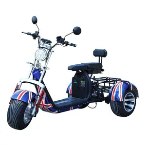 3 Wheel Fat Tire Electric Tricycle Cargo For Beach Cruiser