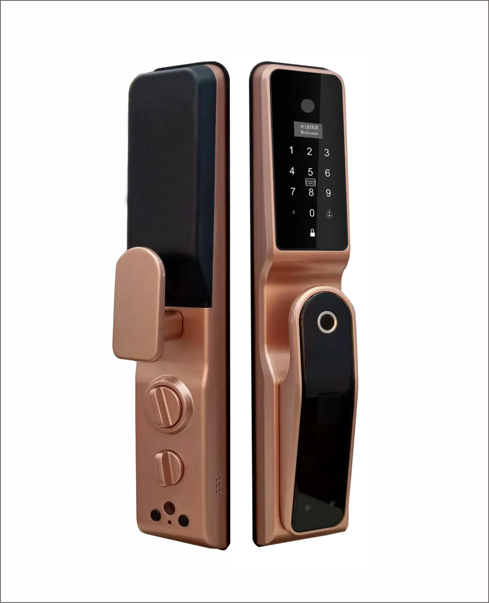 Wifi Tuya yüz tanıma tam otomatik güvenlik elektrikli dijital kapı kilidi elektronik akıllı parmak izi kilitleri kamera ile
