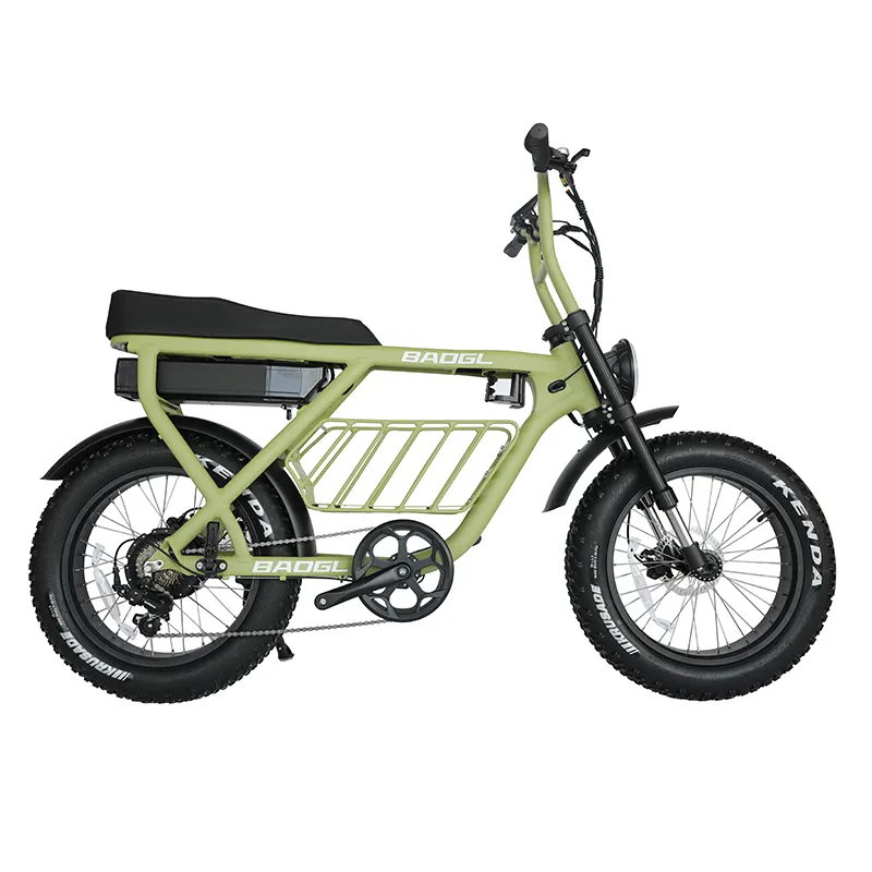 제조사 지방 타이어 자전거 뒷바퀴 전기 외발 자전거 도로 자전거 전기 500w 1000w 48V 산 흙 비치 크루저 자전거