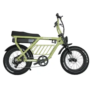 الشركة المصنعة الدهون الإطارات دراجة خلفية دراجة كهربائية أحادية الدراجة الطريق عجلة كهربائية w w 48V الترابية الجبلية