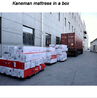 Matelas OEM en mousse haute densité, format King, avec surmatelas 5*6 en mousse à mémoire de forme, latex et gel, et ressorts ensachés pour hôtel