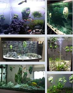 Decoración para Acuario - con <span class=keywords><strong>Roca</strong></span> Suspendida - <span class=keywords><strong>Roca</strong></span> Flotante de Musgo y Resina - <span class=keywords><strong>Roca</strong></span> Decorativa para Pecera - Product Image 6