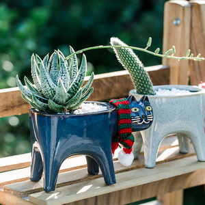 Vendita calda in ceramica fioriera di <span class=keywords><strong>piante</strong></span> succulente animali gattino arredamento per la casa perfetto <span class=keywords><strong>regalo</strong></span> per la pianta amante del gatto - Product Image 5