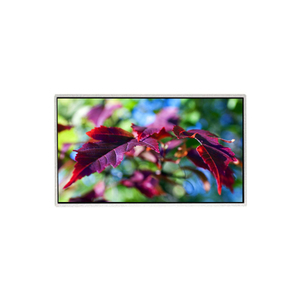 Module LCD HM215WU1-400, 21.5 pouces, 1920RGB x 1080, FHD, 102PPI, nouvel écran LCD d'origine pour affichage numérique - Product Image 1