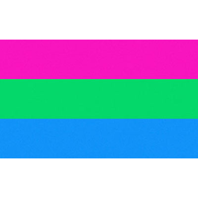 Polysexual flag