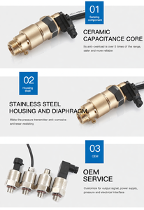 GPT2303 เกจวัดแรงดัน 50 บาร์ 4~20mA เซ็นเซอร์วัดแรงดันน้ำสแตนเลส OEM ราคาประหยัด - Product Image 5