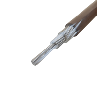 Cable XHHW-2 600V para uso en húmedo/seco, con aislamiento de FR-XLPE y cubierta de PVC, para conducto metálico y enterramiento directo en exteriores