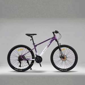 <span class=keywords><strong>Vente</strong></span> en gros de vélo <span class=keywords><strong>VTT</strong></span> Offre Spéciale <span class=keywords><strong>DH</strong></span> 29 "vélo de montagne de descente professionnel avec pédales <span class=keywords><strong>VTT</strong></span> haut de gamme et cycle à double frein à disque - Product Image 6