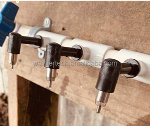 Botella <span class=keywords><strong>para</strong></span> Beber con Tetina <span class=keywords><strong>para</strong></span> Mascotas/Ganado al <span class=keywords><strong>Precio</strong></span> Más Bajo - Product Image 4