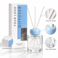 Diffuseur de parfum liquide écologique pour la maison et la voiture, motif personnalisé, 100 ml, avec emballage sur mesure