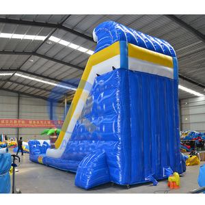 Glissière d'eau gonflable extérieure de vague bleue pour des enfants et des adultes comportant un toboggan de piscine de palmier pour le divertissement d'amusement - Product Image 4