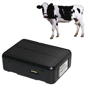 9000mAh 4G3G2G Bétail antivol IP67 Résistant À L'eau Localisateur Bovins Puce De Suivi GPS Étiquette D'oreille de Bétail - Product Image 1