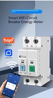Disjoncteur intelligent WiFi Tuya avec télécommande, mesure de consommation, 230V, matériau PA66, capacité de coupure 6kA, montage sur rail