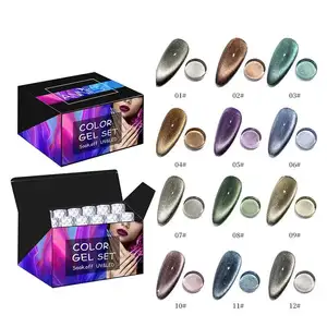 12 Colors/Box 5D Cat Eye Magnetic Gel Nail Polish 15mL Semi-permanent UV Gel Brand New Manicure In Beautiful Gift Box
