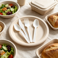 Fourchette, couteau et cuillère BPI CPLA 6-7 pouces, couverts compostables et biodégradables, résistants à la chaleur, robustes, à base de plantes, en vrac