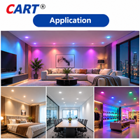 Plafonnier LED encastré intelligent à intensité variable, ultra-lumineux, 24w, contrôle par application mobile TUYA, ZigBee//Wifi, avec spot