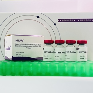 Antigène pour test d'inhibition de l'hémagglutination de la <span class=keywords><strong>grippe</strong></span> aviaire H7 sous-type Re5 - Product Image 4