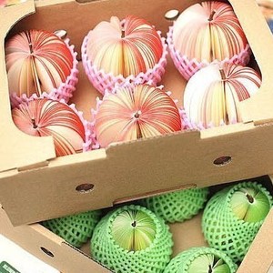 Criativo personalizado DIY frutas pegajosas notas fábrica por atacado fornecimento para almofadas Memo - Product Image 4