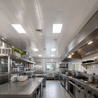 Panneau de plafond en aluminium PVC, cuisine, restaurant, résistant au feu, WYRAX